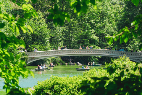 A far shot of a bridge in Central Park. People canoe in the water beneath.