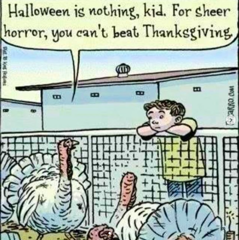 best vegan thanksgiving memes