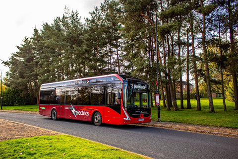 A red and black bus sits on an asphalt road beside a line of evergreeen trees.