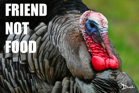 vegan memes for thanksgiving