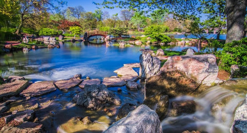 A shot across a pond in the Garden of the Phoenix; there are large rocks in the foreground and a small red bridge in the background connecting to a manicured island.