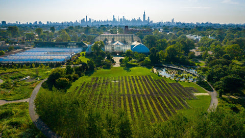 An overhead shot of Garfield Park Conservatory; a large, open, circular green space leads up to a glass conservatory building. In the distance is the skyline of Chicago.