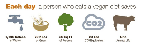 A graphic depicting, respectively, a water faucet, a bowl containing wheat, a tree, a cloud that reads "CO2," and a cow. Above, text reads "Each day, a person who eats a vegan diet saves." Below, text reads "1,100 galons of Water; 20 kilos of Grain; 30 sq ft of Forests; 20 lbs CO2 Equivalent; One Animal Life."