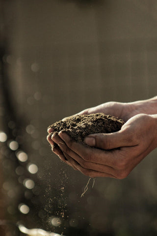 A pair of dirty hands holds a pile of loose earth.