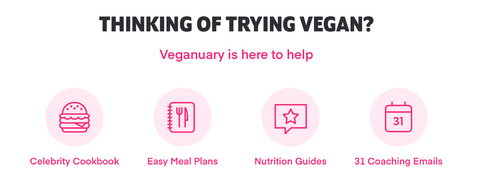 Pink graphics on a white background. Black text at the top reads "Thinking of trying vegan?" Below, pink text reads, "Veganuary is here to help." Each graphic is labeled: "Celebrity cookbook; Easy Meal Plans; Nutrition Guides; 31 Coaching Emails."