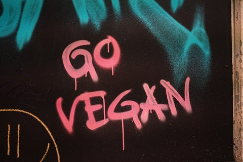 The words "Go Vegan" are written in pink spray paint on a black background.
