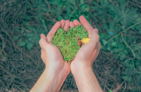 A white person's hands holding moss and a dandelion.