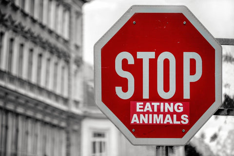 A red stop sign that has been edited to read "Stop eating animals."