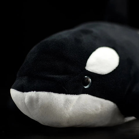 orca cuddly toy