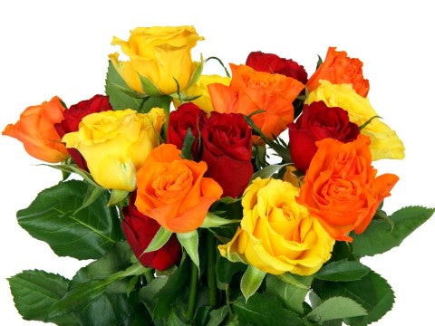 colorful bouquet of roses