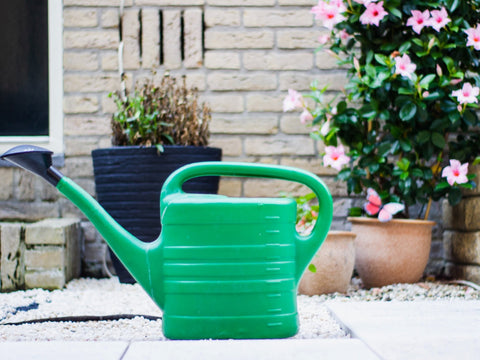 watering can for plants