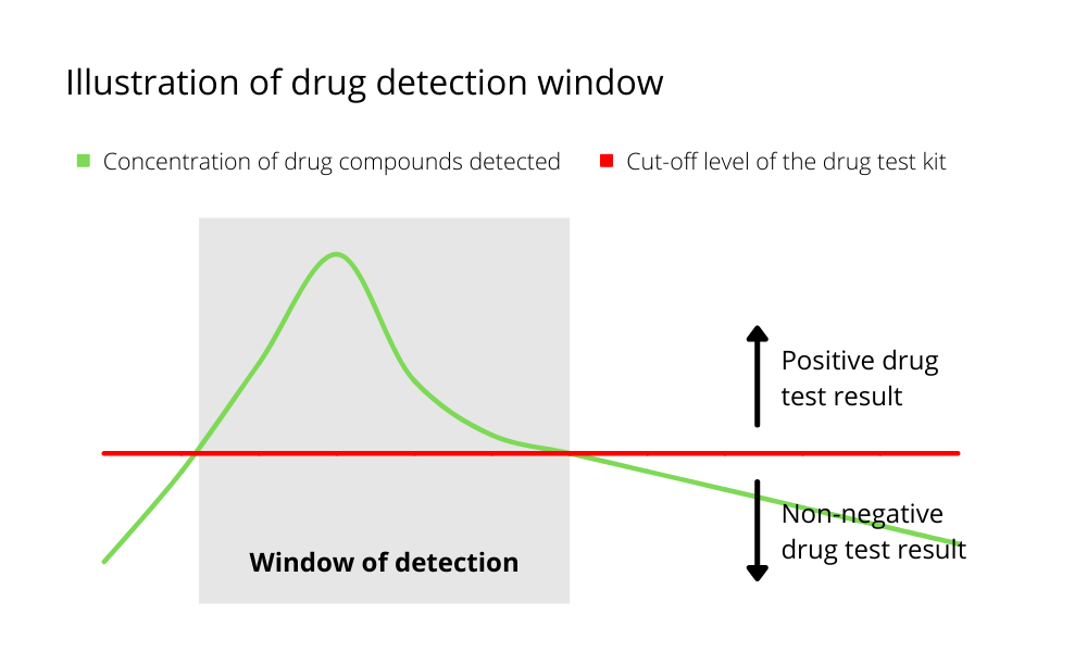 Illustration of drug detection windows