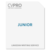 Junior - LinkedIn Profile Writing Service