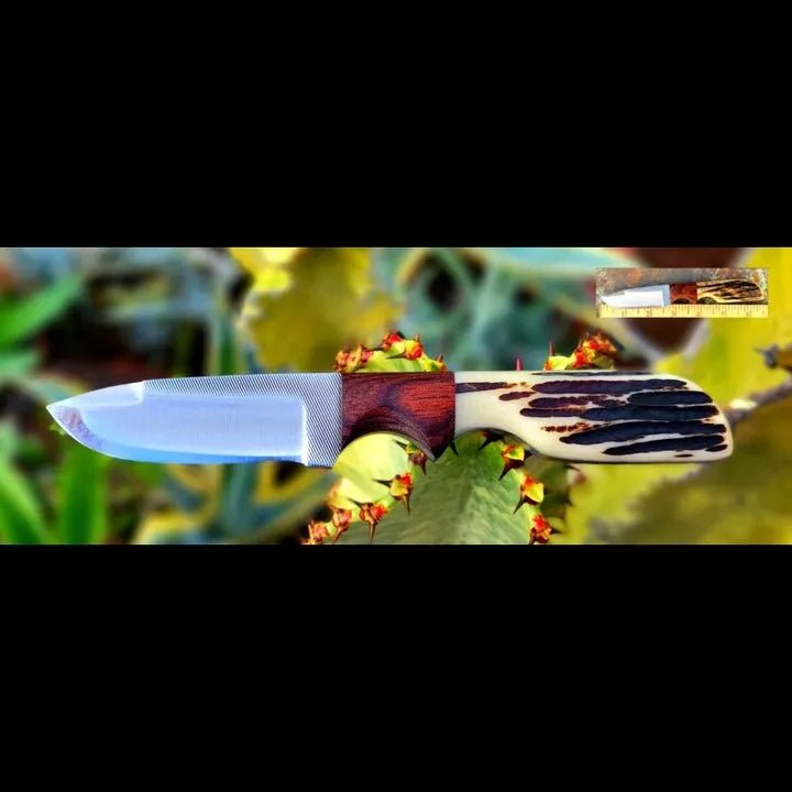 2 3/4" Blade Belt Knife Bone and Walnut Wood Handle (knife sheath)