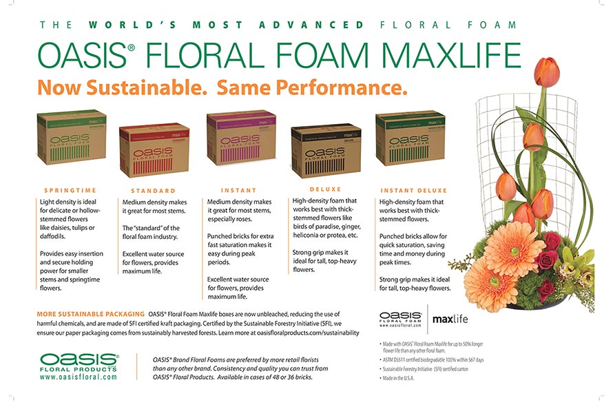 Sahara Dry Floral Foam 