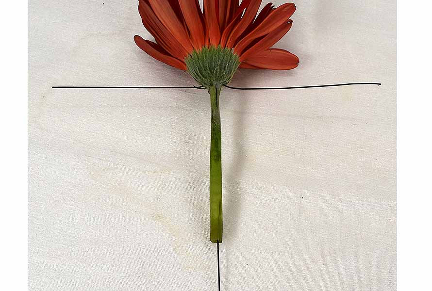 Why and How to Wire and Tape Flowers