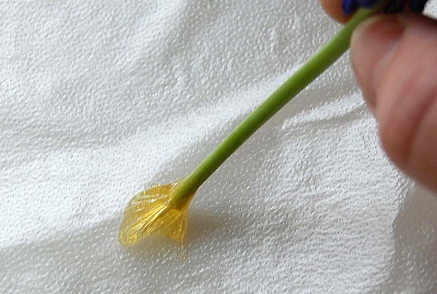 Tips and Tricks with Flower Glue 