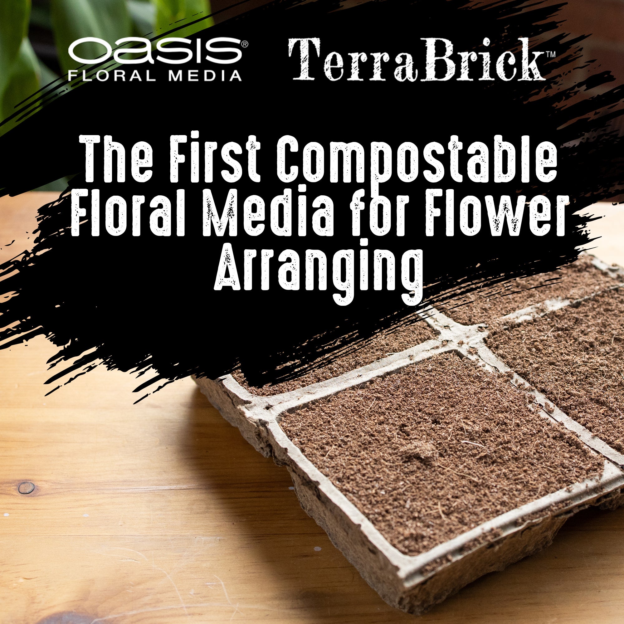 OASIS® TerraBrick™ Floral Media | The First Compostable Floral Media f