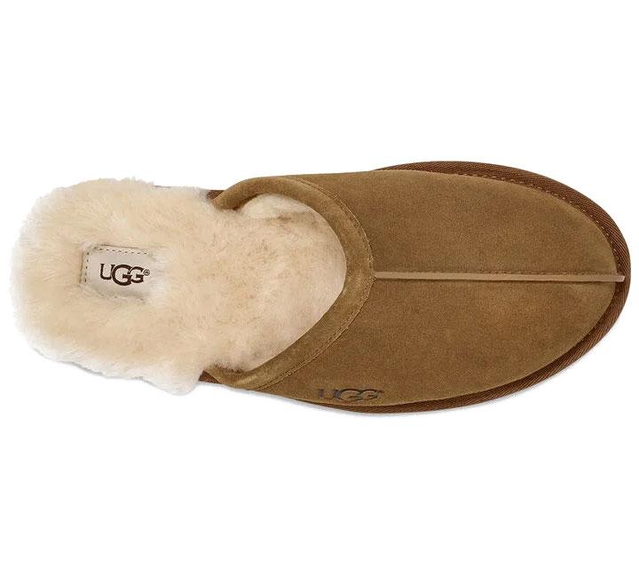 the ugg slippers