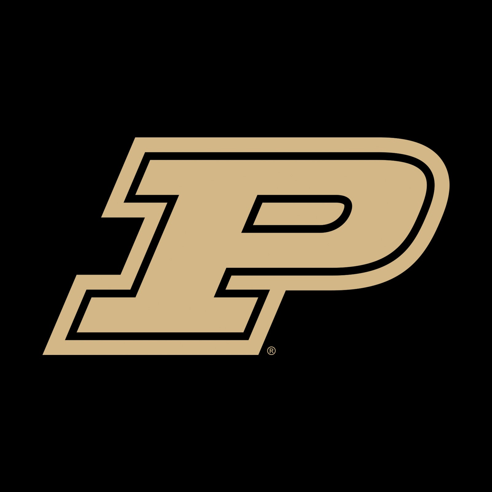 Top 10 Best Purdue Basketball & Reviews In 2022