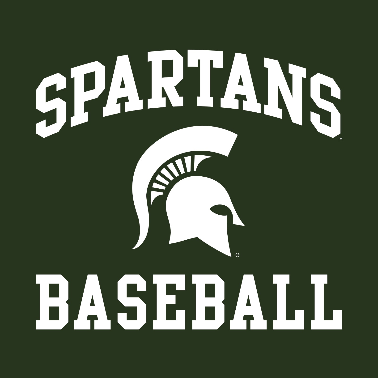 michigan state baseball shirt