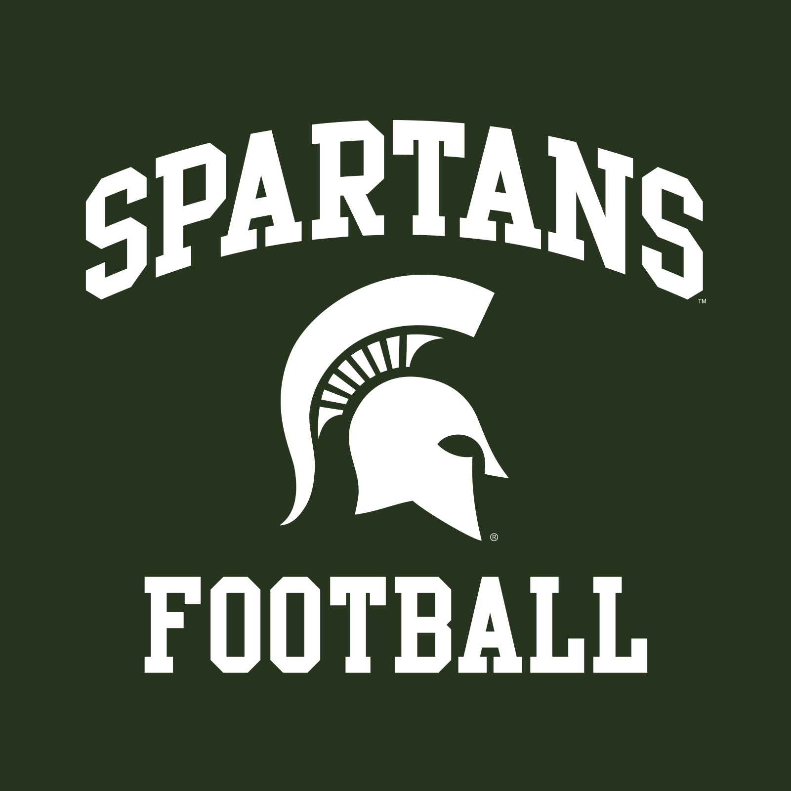 Michigan State University Spartans Arch Logo Football Short Sleeve T S
