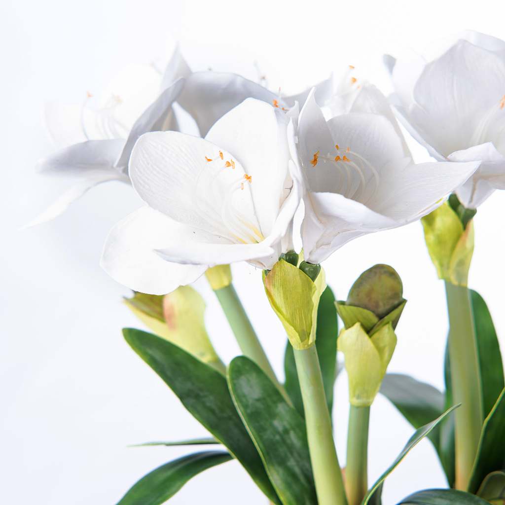 White Amaryllis Silk Flower Arrangement 2733