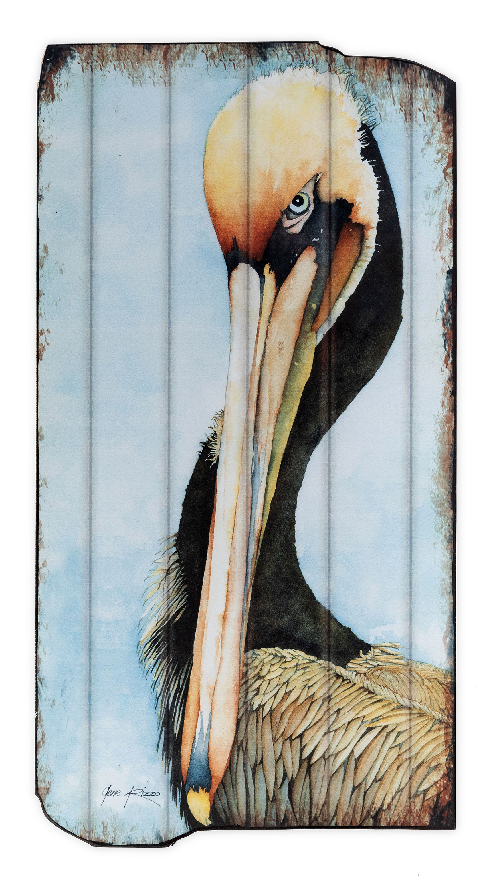 11+ Finest Pelican wall art images info