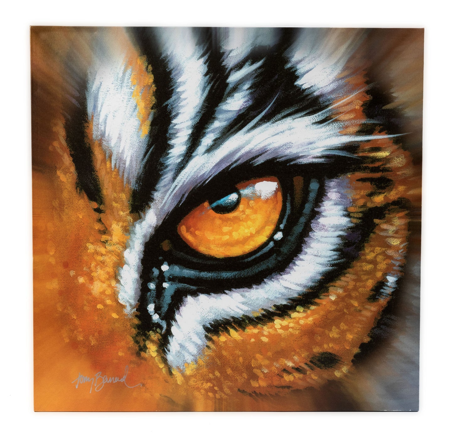 images of tiger eyes