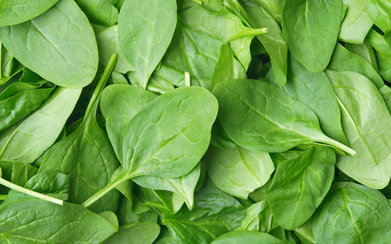 Folate (from Spinach)
