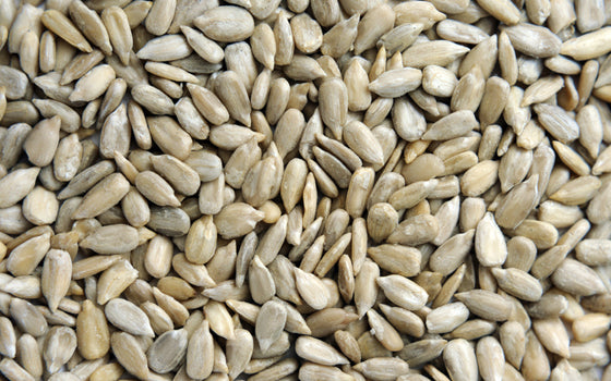 Biotin (from Sunflower)