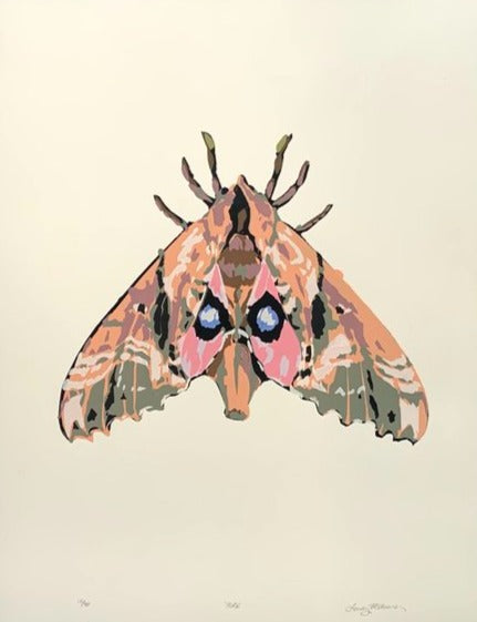 A printmakers paean to moths  in pictures  Art and design  The Guardian