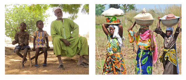 KAIBAE works directly with communities in Africa harvesting Baobab I KAIBAE
