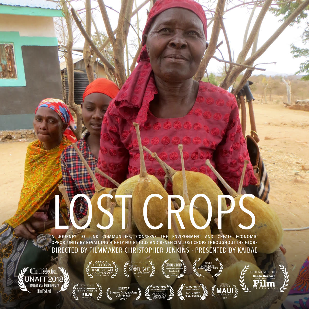 kaibae lost crops film full documentary about kaibae's wild baobab harvest in ghana