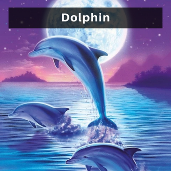 Dolphin diamond painting kits