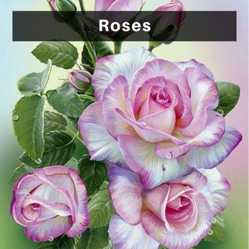 Rose diamond painting kits