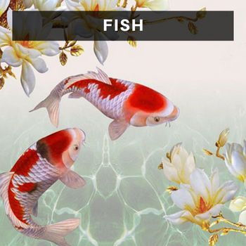 Fish Diamond Painting Kits