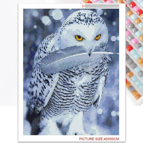 Owl With Feather - Diamond Painting Kit