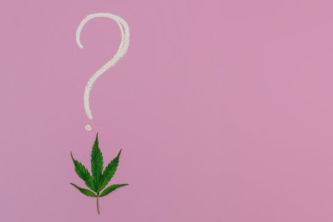 Hemp Leaf with Question Mark