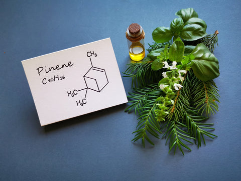 Pinene Chemical Formula and Green Arrangement