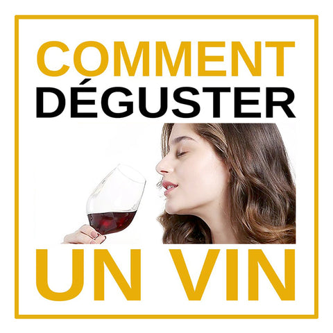 Comment déguster Un Vin