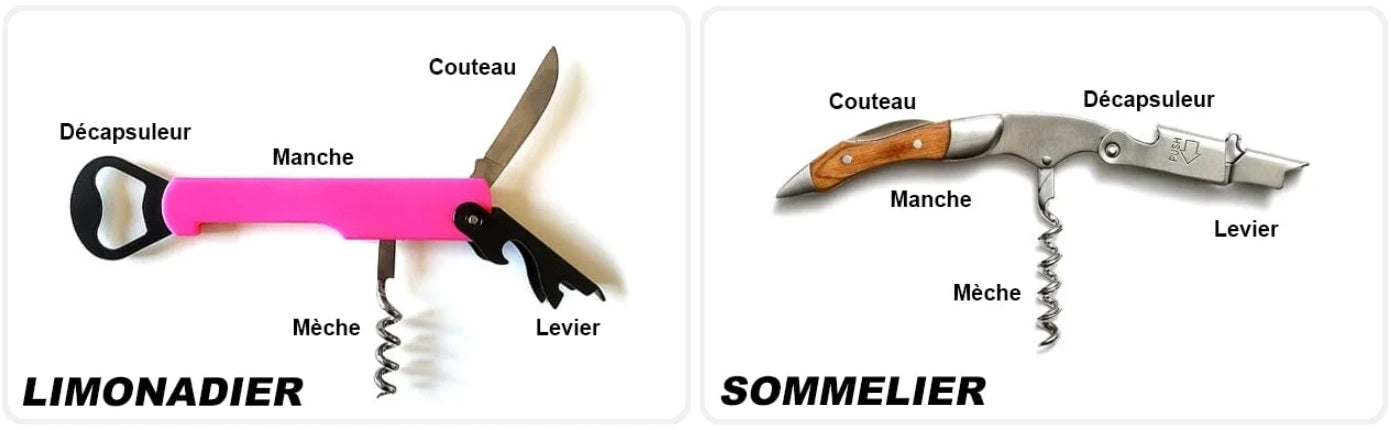 Différences entre Limonadier et Sommelier_Le Bon Tire-Bouchon