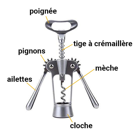 Tout savoir sur le tire-bouchon : Femme Actuelle Le MAG