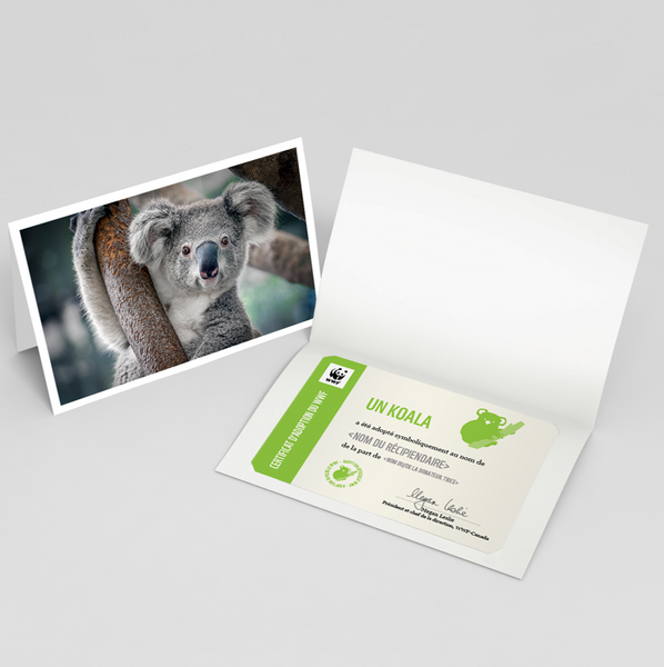 Carte Koala Wwf Canada