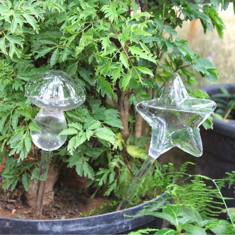 Irrigadores de água portateis de vidro
