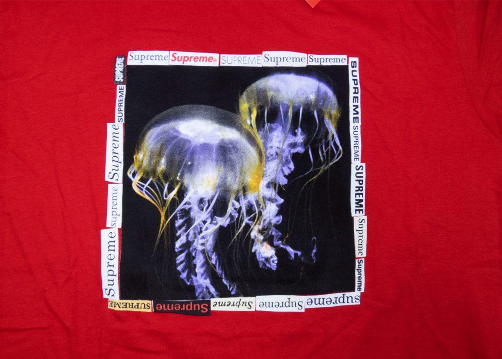 supreme jellyfish