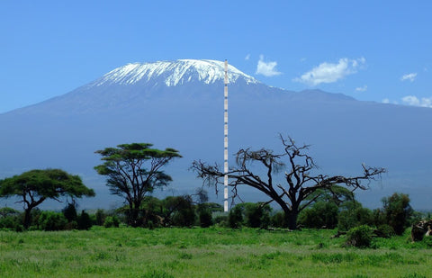 Höhe Plastikflaschen mont kilimanjaro
