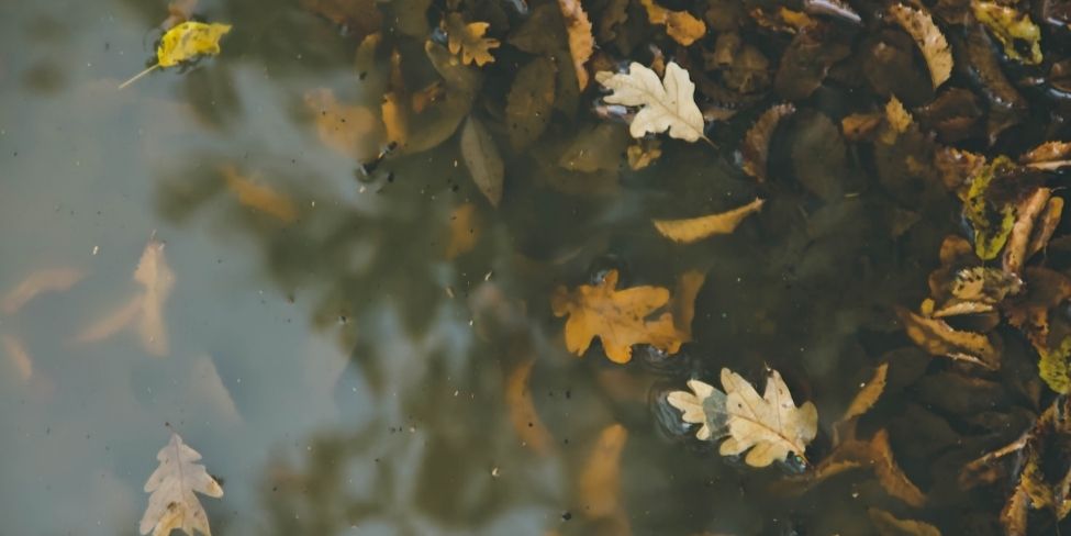 boire de l'eau en randonnée