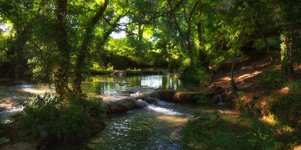  trouver de l'eau dans la nature