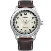 CITIZEN BM748013X